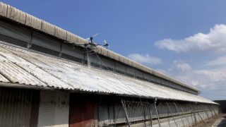屋根に石灰散布をドローンで（養豚場：長﨑県）試験